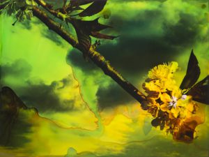 Spring 25-3, 2025, Malerei auf Fotografie, 30 x 40 x 5 cm